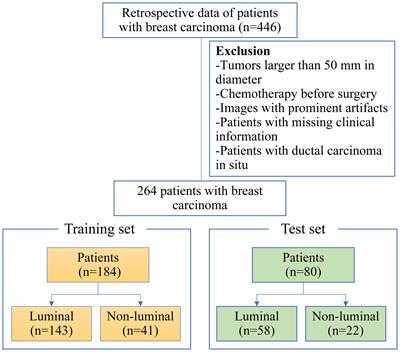 Development and validation of an ultrasound-based radiomics nomogram for predicting the luminal from non-luminal type in patients with breast carcinoma